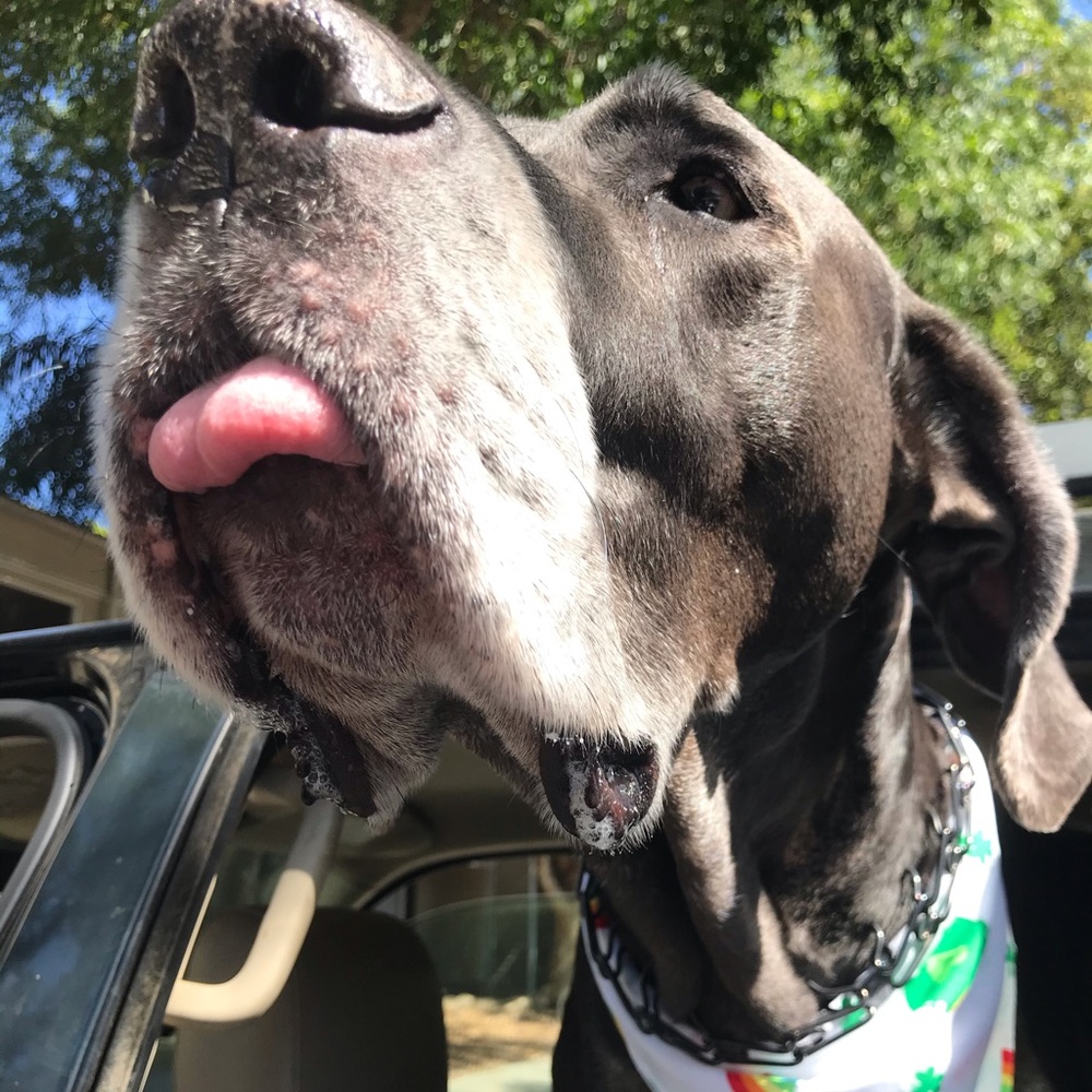 Meet your Posher, Maria